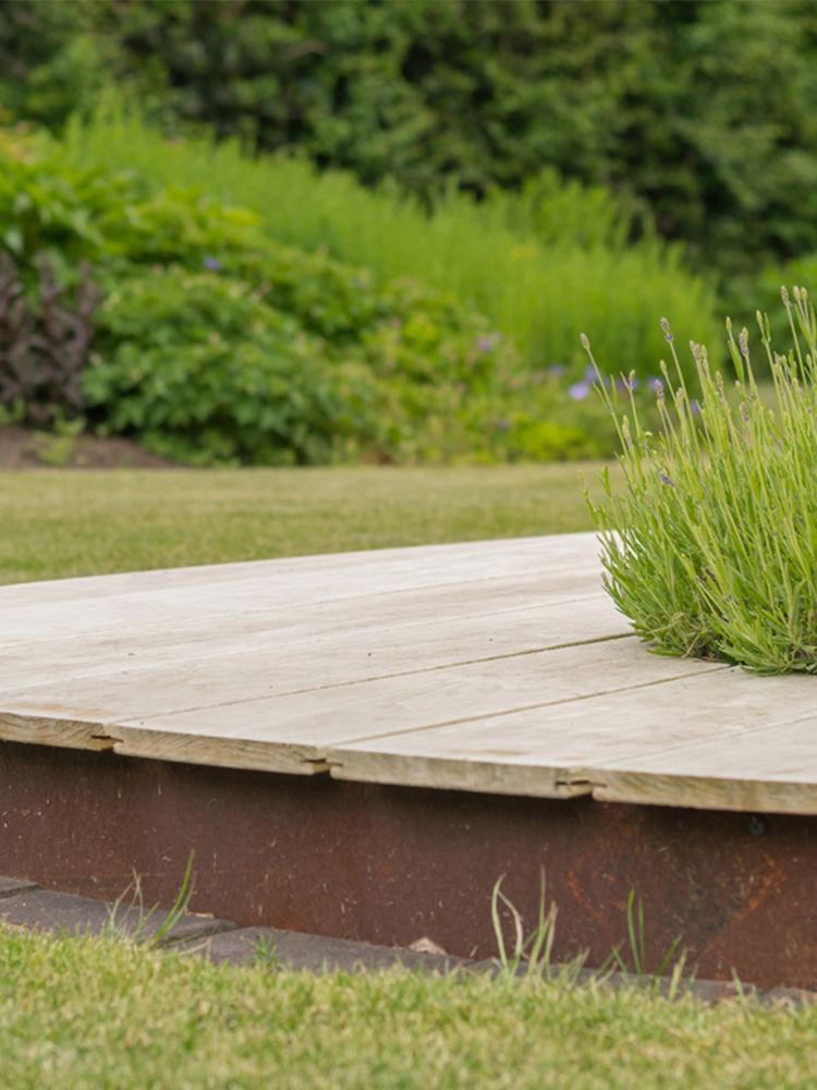 Accoya terras